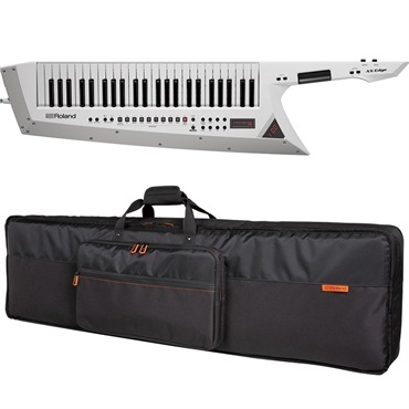 Roland JD-08+K-25M【専用鍵盤セット】 ｜イケベ楽器店オンラインストア