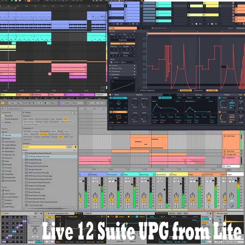 ableton Live 12 Suite UPG from Lite (代引不可)(オンライン納品