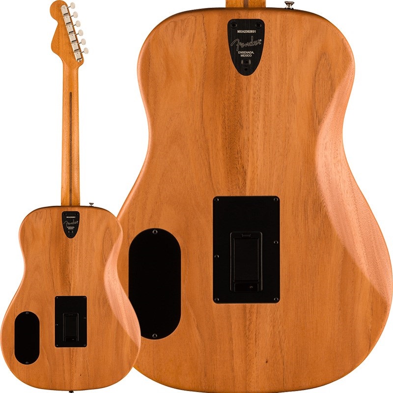 Fender Acoustics Fender HIGHWAY SERIES DREAD All-Mahogany