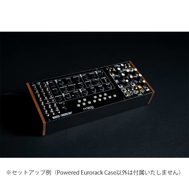 moog 60HP Powered Eurorack Case【極少数入荷】 ｜イケベ楽器店