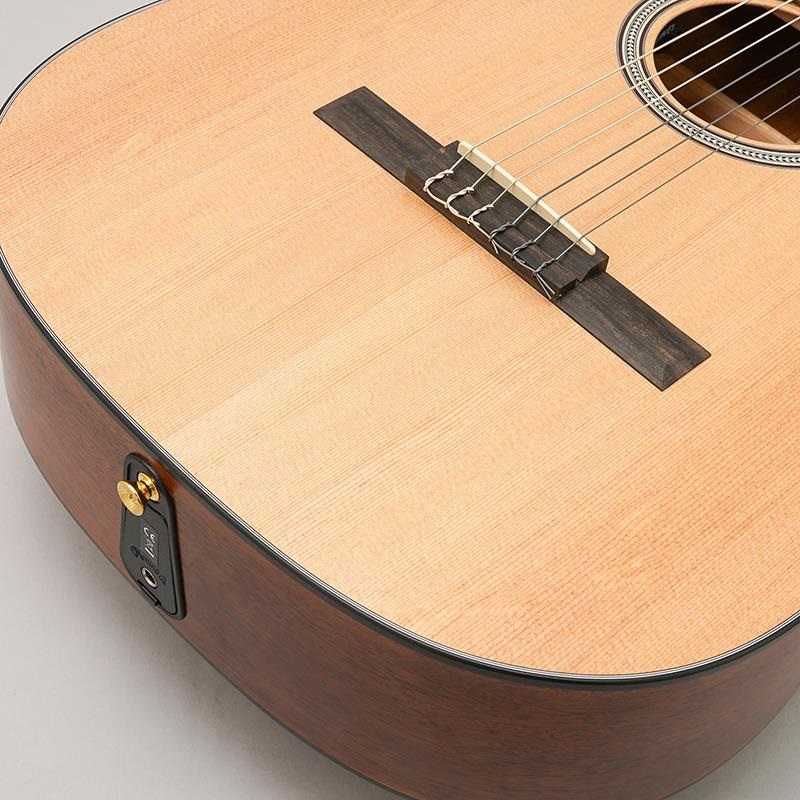 MARTIN 000C12-16E Nylon [エレガット] マーチン マーティン ｜イケベ