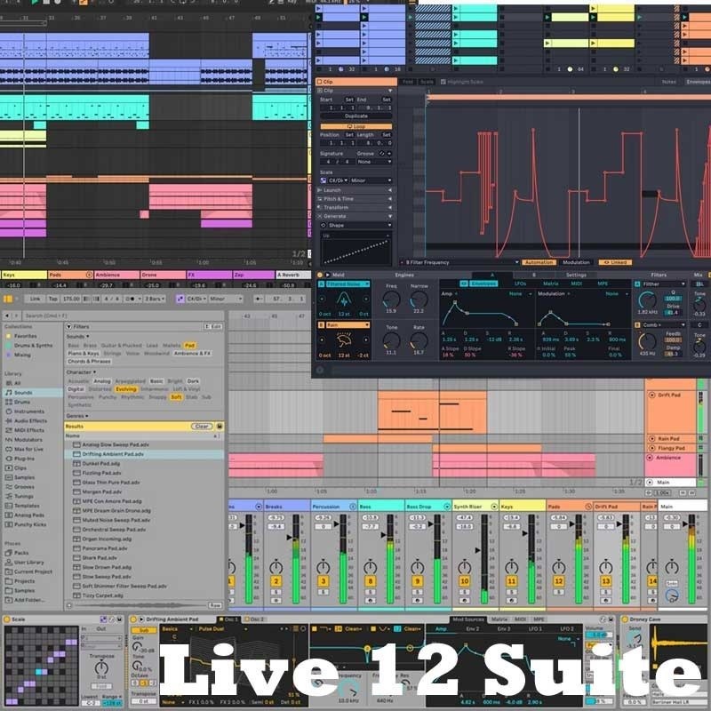 ableton PUSH 3 スタンドアロンバージョン Live12 Suite Bundle