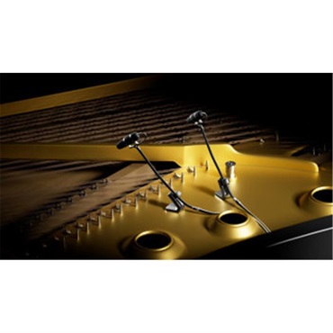 DPA 4099-DP-1-101-P ピアノセット (ディーピーエー)(4099 CORE+)(