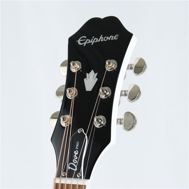 Epiphone 【数量限定エピフォン・アクセサリーパックプレゼント】 Dove