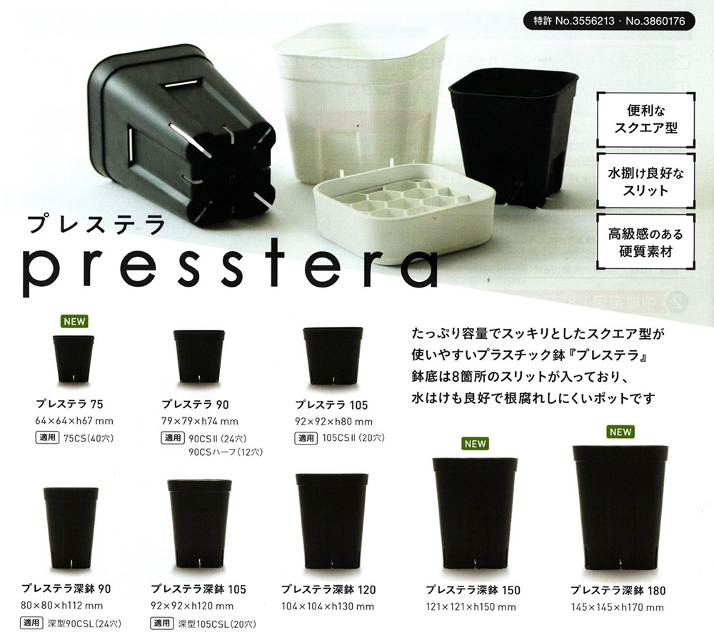 大地での根張りを再現！理想的な植木鉢 スリットポット/イケダグリーン