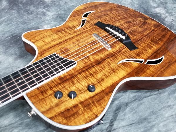 Taylor(テイラー) T5-S2 Hawaiian Koa Taylor Koa コレクション ギター