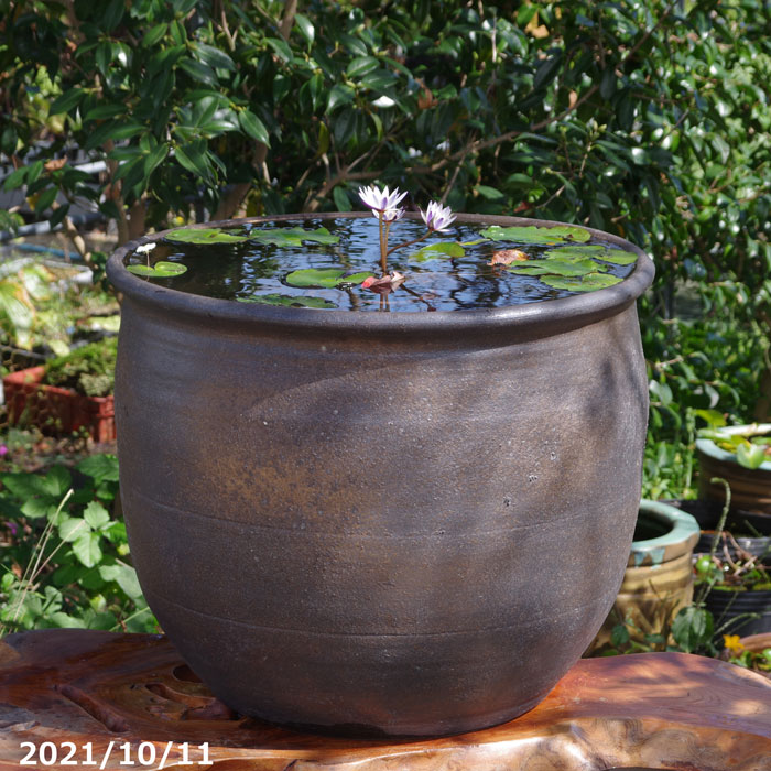 小鹿田焼 飛びカンナ 傘立て 睡蓮鉢 メダカ鉢 小石原焼 小鹿田焼 飛び