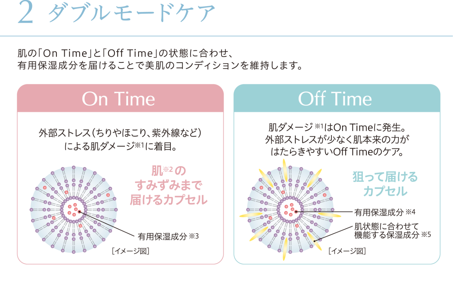化粧水／乳液・クリーム | 製品情報 | アイビー化粧品