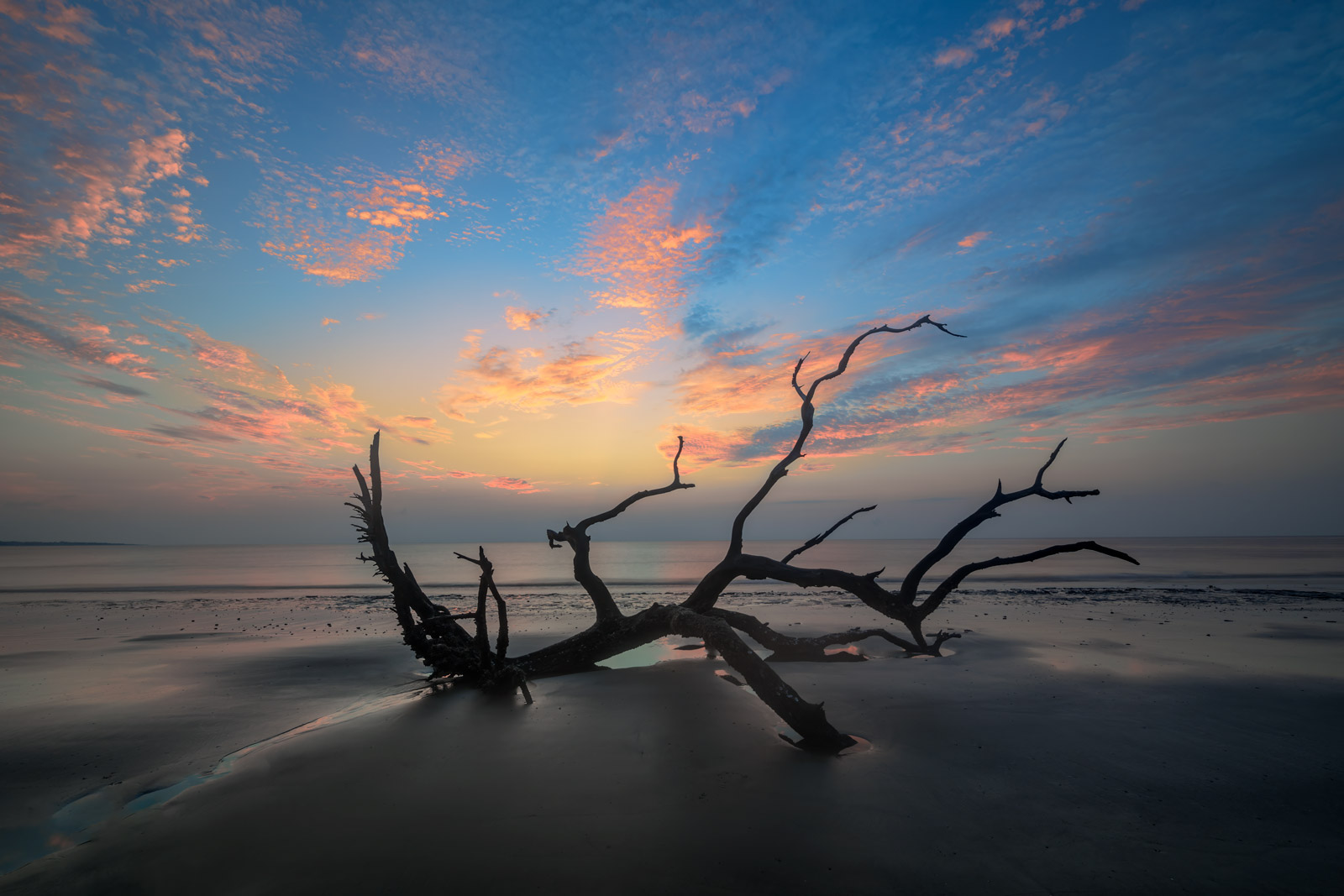 Driftwood Beach Pink Sky Fine Art Photo Print | Prints By Joseph C