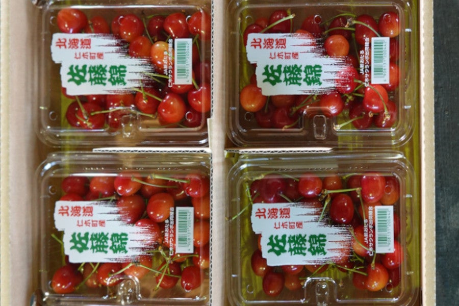 佐藤錦800g】JA新おたるのさくらんぼ（200g×4パック）ゆう