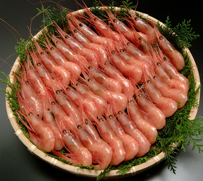 船内凍結甘えび 子無し＿福井県産: 越前わかさ味浪漫|【JAタウン