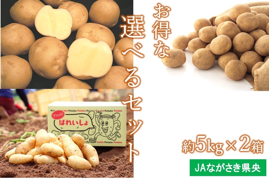 ☆選べるじゃがいもセット 約5kg×2箱 ※週に1回の出荷 JAながさき県央