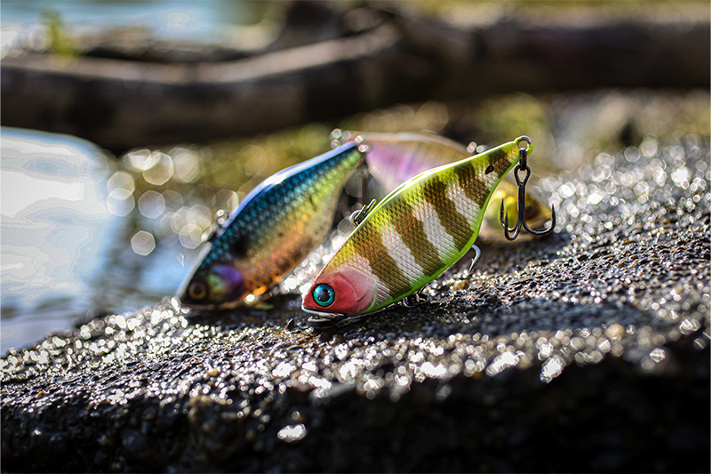 DOWZSWIMER ∞ 400 SF / ダウズスイマーエイト 400 SF - FRESH WATER