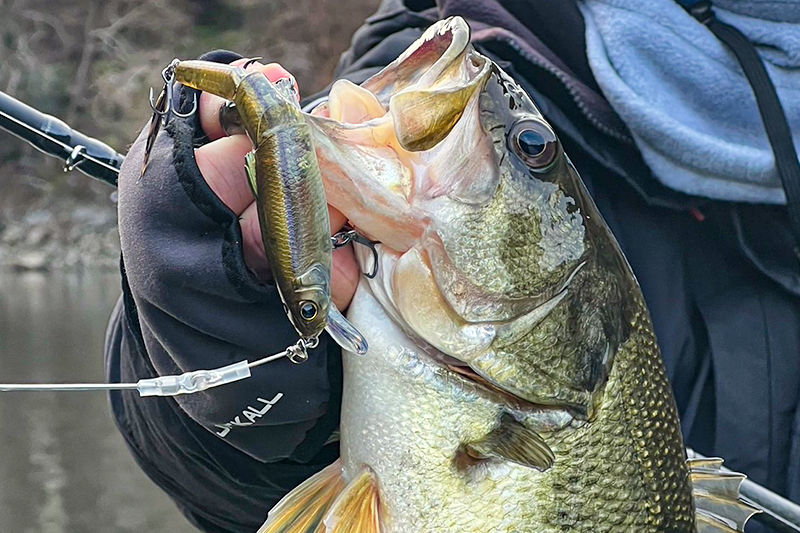 真冬の津風呂湖攻略！ラスターブレード185で爆釣/斉広峰 - FRESH WATER