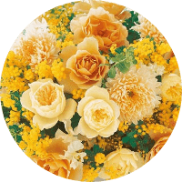 EPO-79-445s 山下清 長岡の花火 500ピース エポック社 の商品詳細