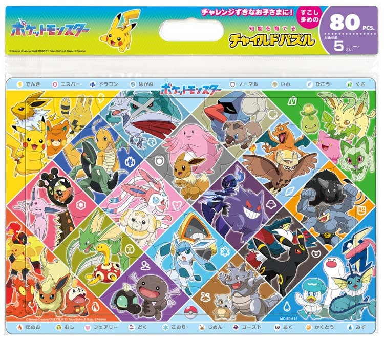 TEN-MC80-616 ポケモン ポケモンのタイプわかるかな？ 80ピース ［CP