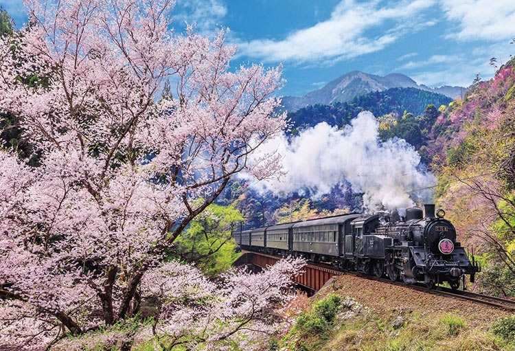 BEV-1000-137 風景 大井川鐡道と桜 1000ピース ビバリー の商品詳細