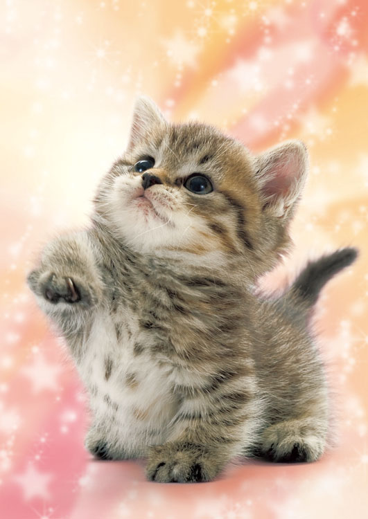 EPO-04-530 ペット・動物 なにかニャ？ 216ピース ［CP-CA］ エポック