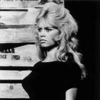 ソフィア・ローレン(2) 俳優のチャールトン・ヘス…：麗しの大女優