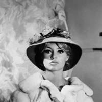 ソフィア・ローレン(2) 俳優のチャールトン・ヘス…：麗しの大女優