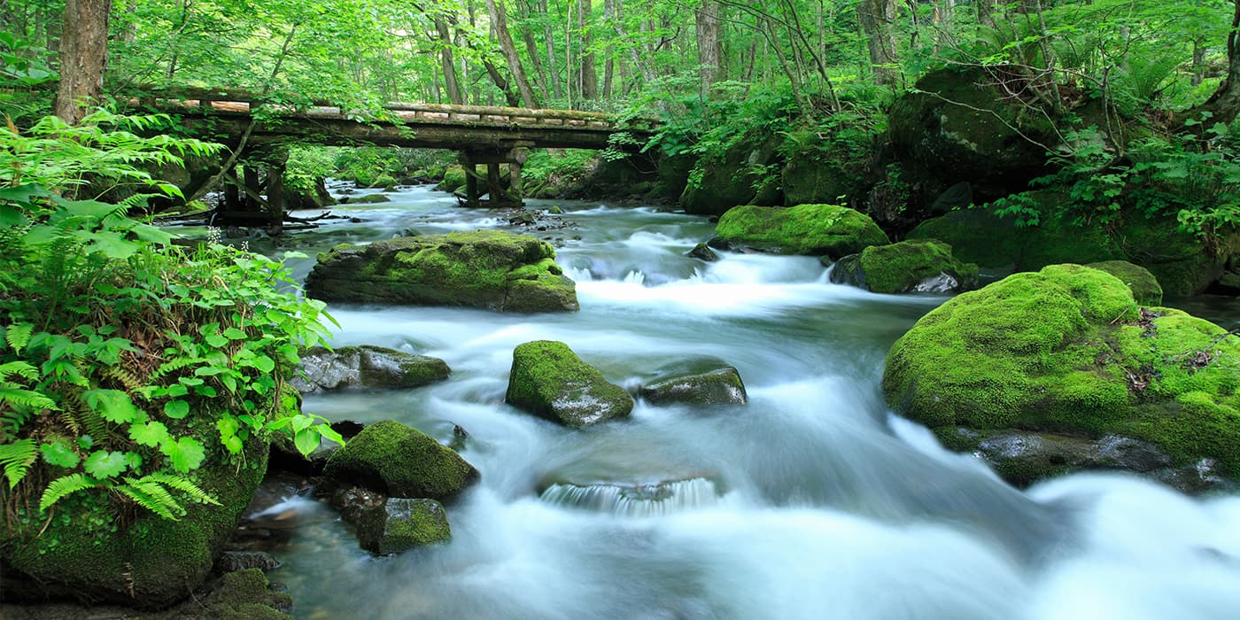 新緑かおる奥入瀬渓流|日本の絶景 JTB 感動の瞬間（とき）