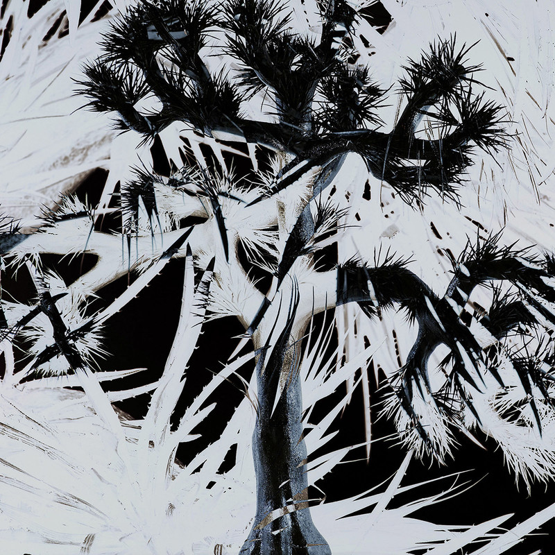 Plastic Tree | ビクターエンタテインメント