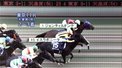 JRAホームページ｜データファイル｜競走成績データ