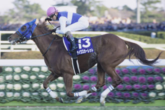 JRAホームページ｜データファイル｜競走成績データ