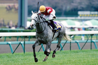 JRAホームページ｜データファイル｜競走成績データ