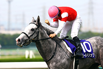 JRAホームページ｜データファイル｜競走成績データ