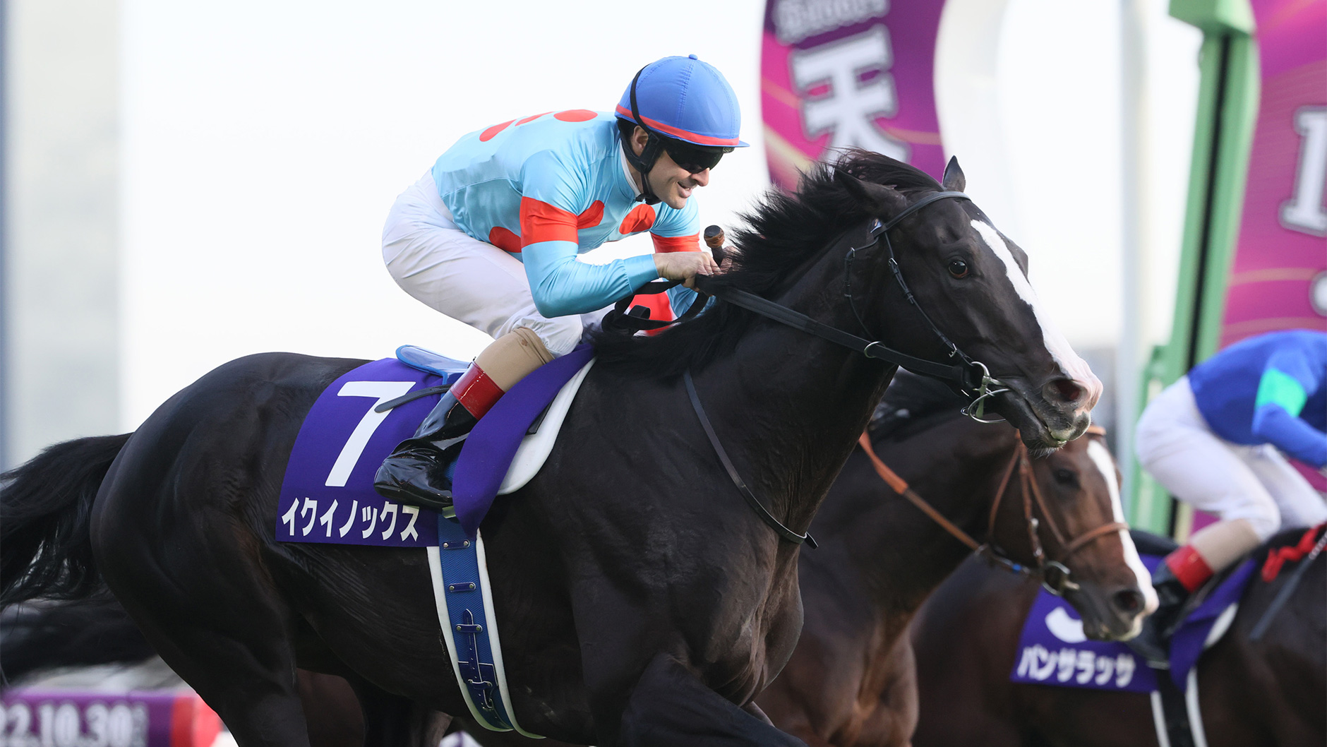 イクイノックス フォトアルバム 天皇賞・秋23 優勝記念品 競馬 JRA