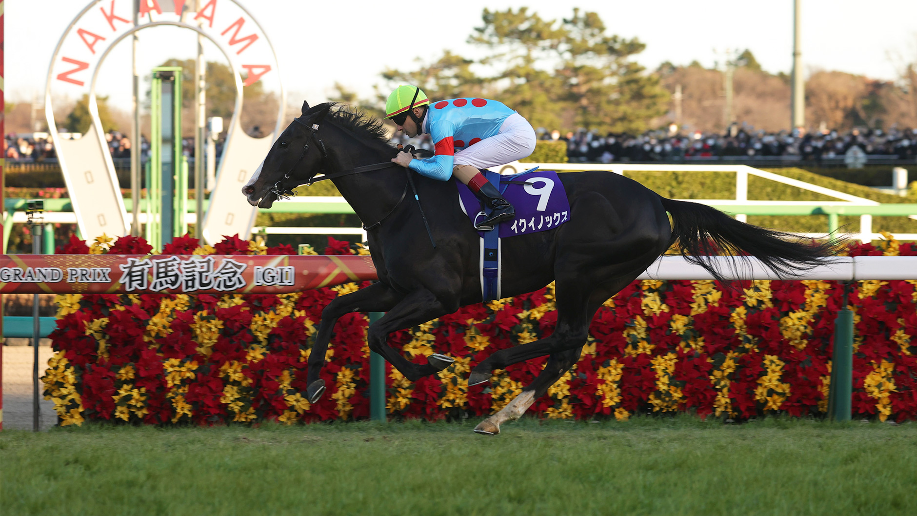 イクイノックス：競馬の殿堂 JRA