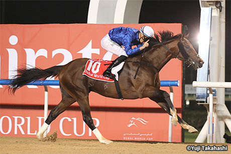 レース結果・回顧：2018年ドバイワールドカップ 海外競馬発売 JRA