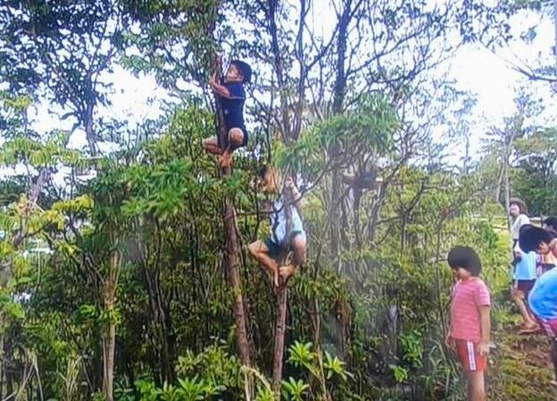 DVD ブック 映像全集・斎藤公子の保育【全 6 巻】|さくら・さくらんぼ