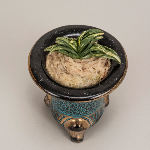 第14回萬風展 of 日本おもと業者組合