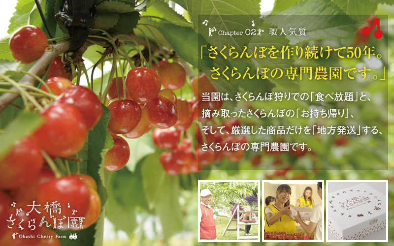 冷凍さくらんぼ ミックス3p | 完熟のさくらんぼを急速冷凍｜有機肥料