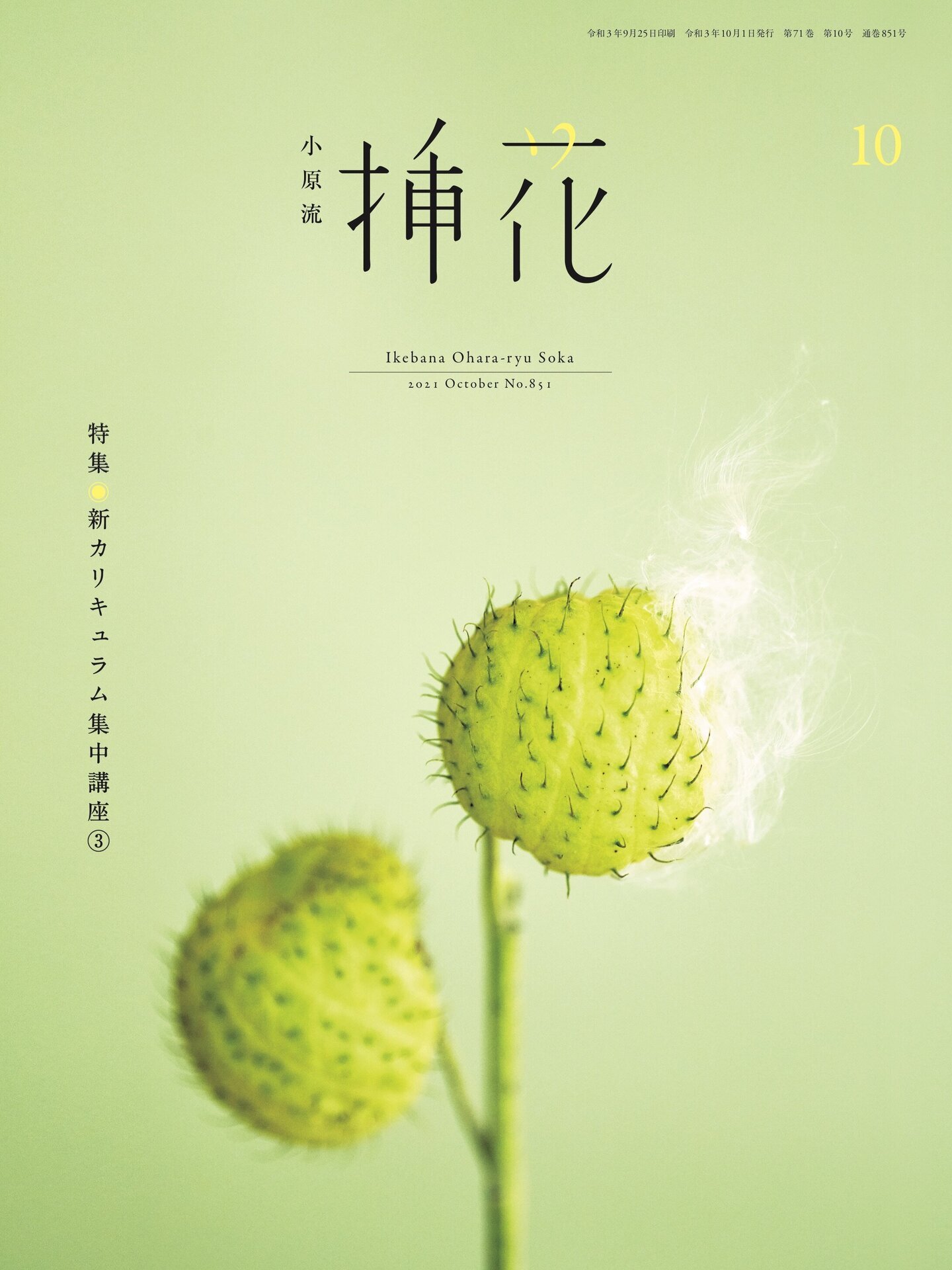 小原流挿花」2021年10月号 10/1発売開始！ | いけばな小原流