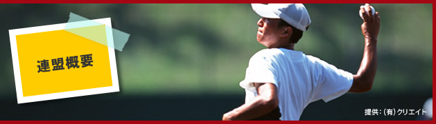 大分県高等学校野球連盟公式サイト[連盟概要]