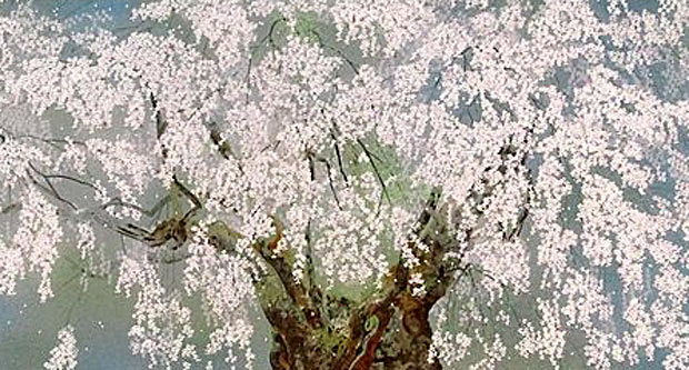 中島千波 坪井の枝垂桜（3） | 絵画など美術品の販売と買取 | 東京