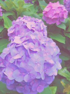 ヒロヤマガタ ウェディングリング | 絵画など美術品の販売と買取