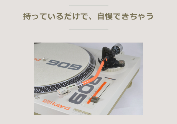 Roland TT-99 ターンテーブル ホワイト Roland - TT-99 | Turntable