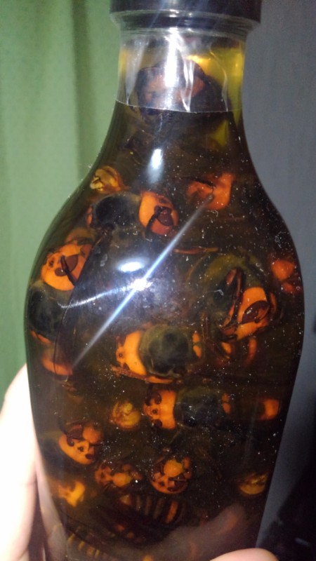 毒のカクテル」ことスズメバチの毒のお酒でカクテルを作った | 野食