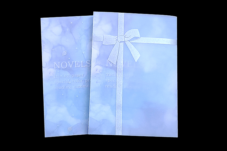 文庫サイズ・小説限定】シルバートレペカバー付き小説セット（本文単色