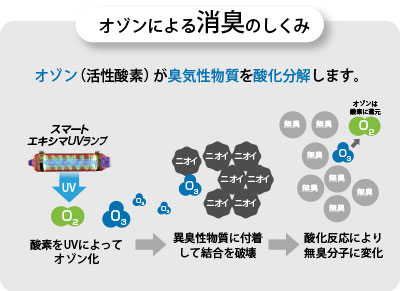 エアービーナスミニ有人用（ARV-O3MI）：オゾン発生器 - 株式会社