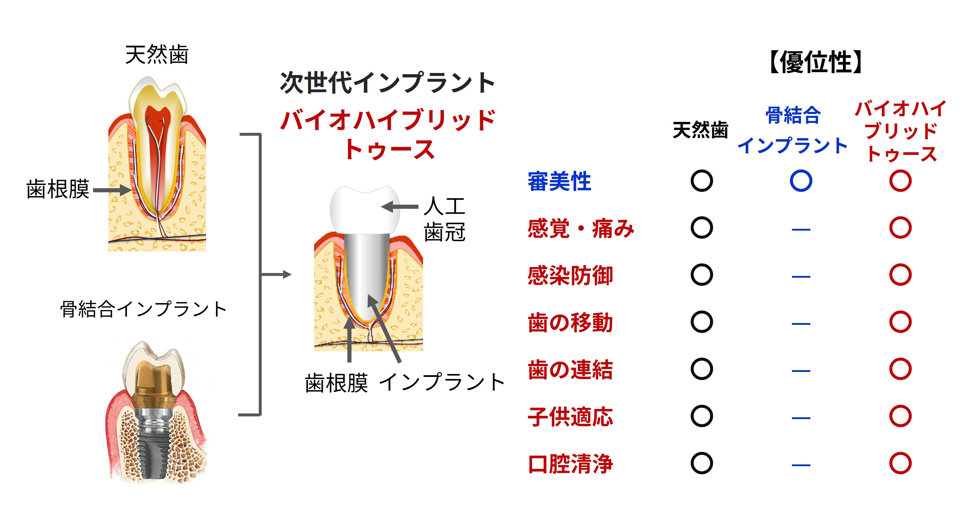 株式会社オーガンテック - OrganTech Inc.
