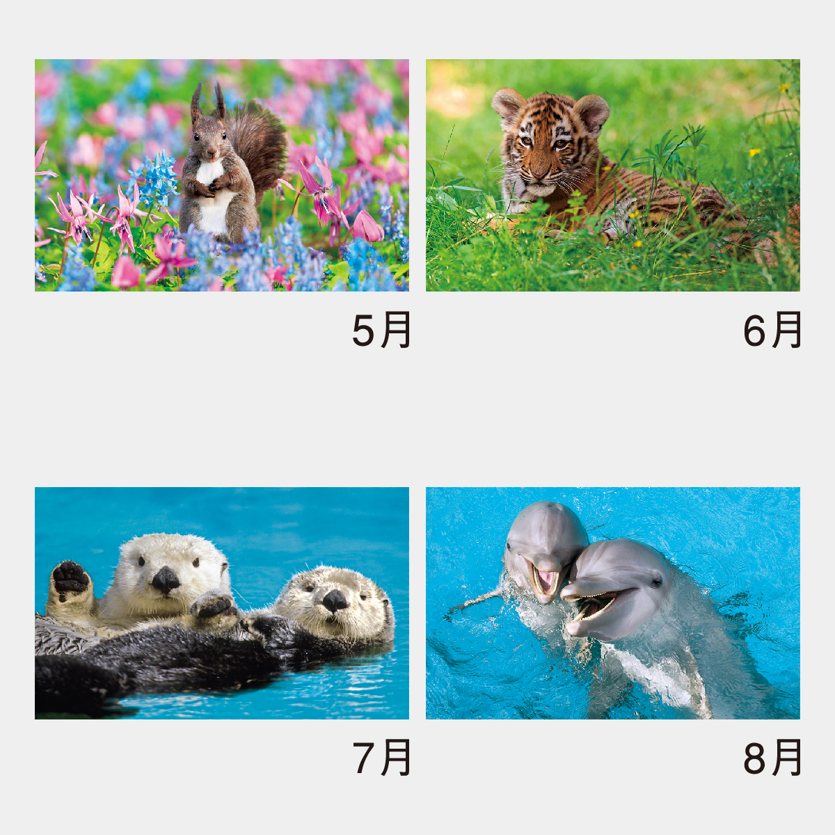 NK-104 かわいい動物たち2026年版の名入れカレンダーを格安で販売 - 名