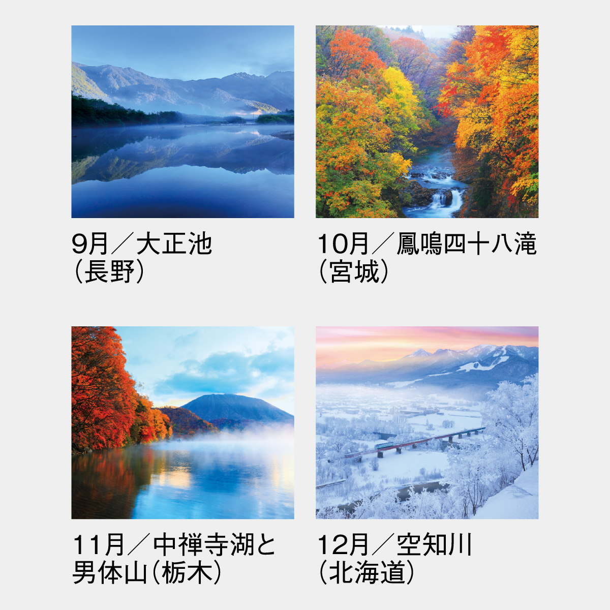 SG-456 四季十二彩2026年版の名入れカレンダーを格安で販売 - 名入れ