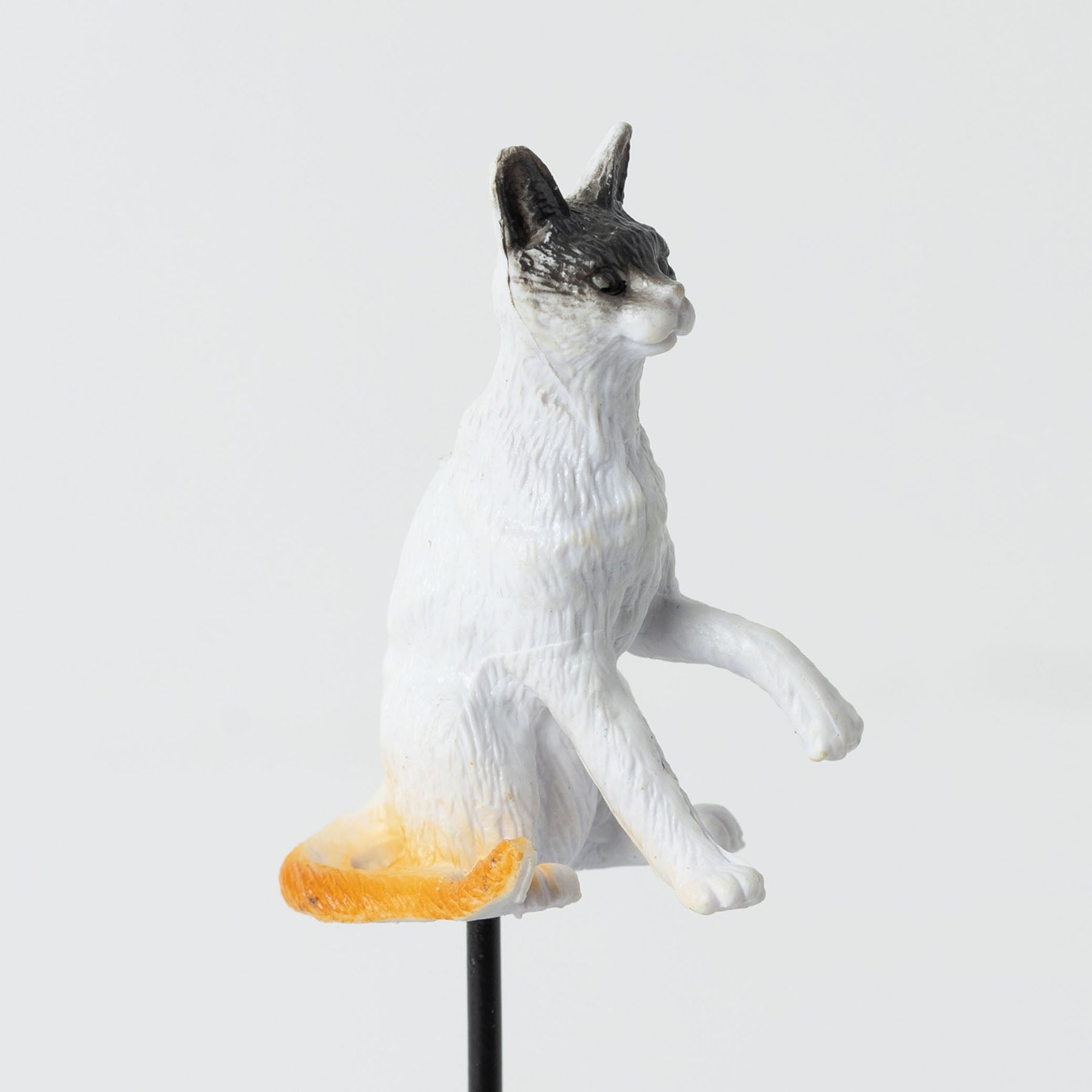 ネコのガーデンピック（12本セット）｜ガーデニング｜オルネ ド