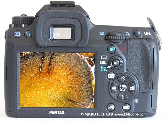 The Pentax K-5 IIs DSLR camera tested on a microscope