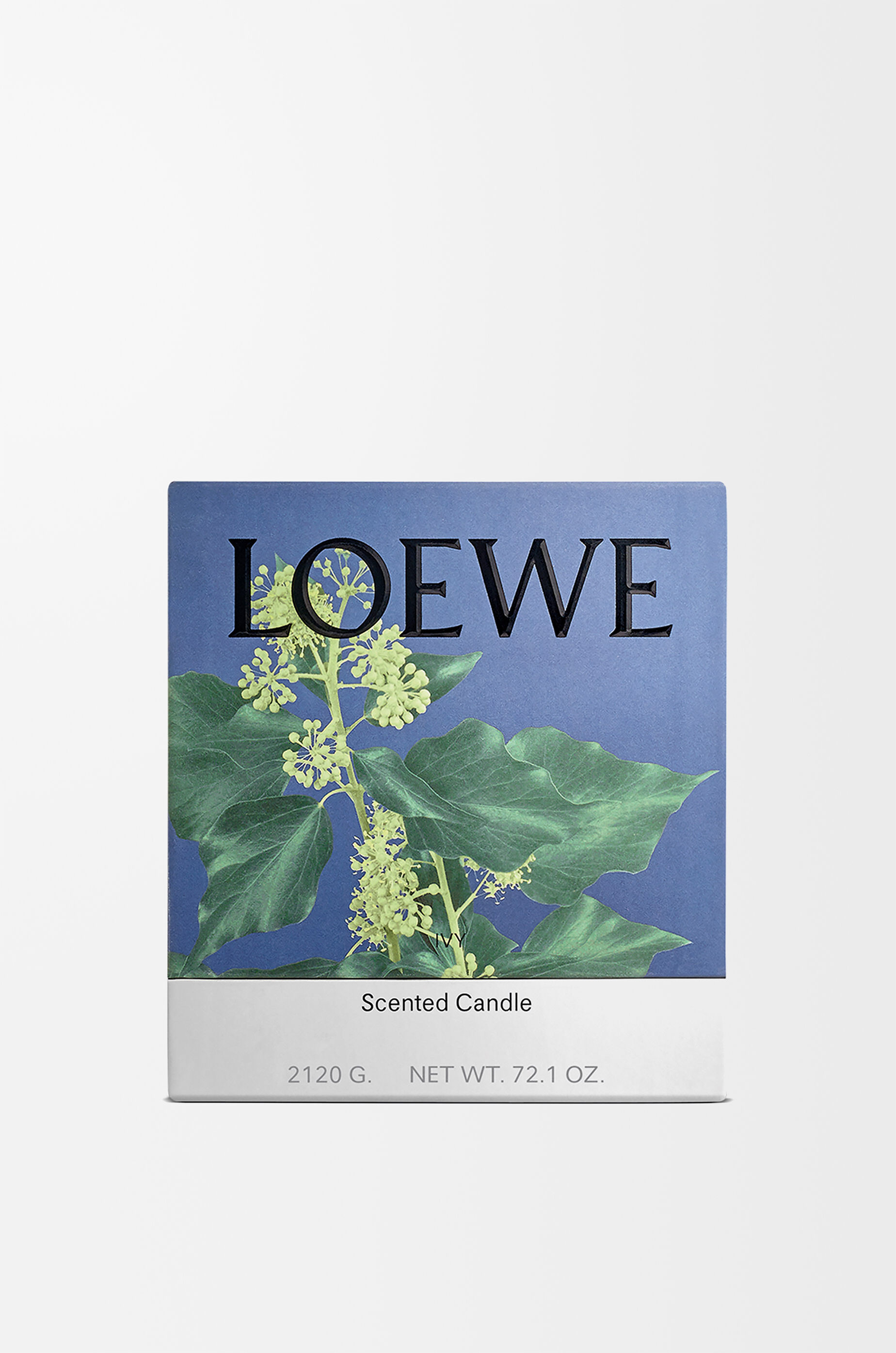 アイビー キャンドル ラージ ピンク - LOEWE Japan official website